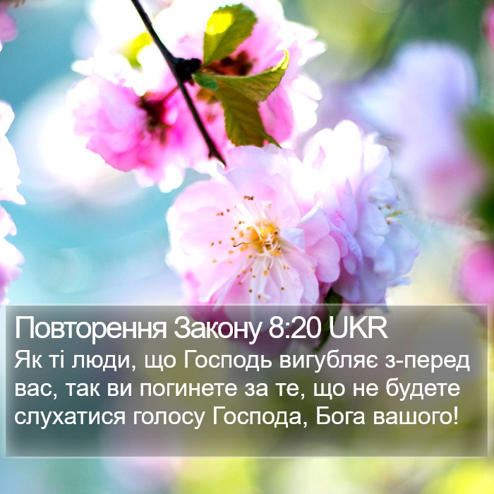 Повторення Закону 8:20 UKR Bible Study