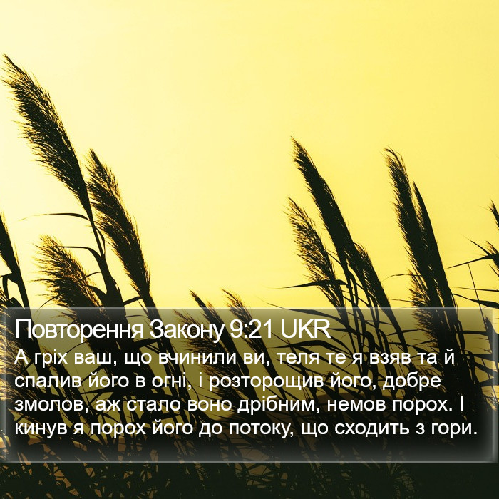 Повторення Закону 9:21 UKR Bible Study