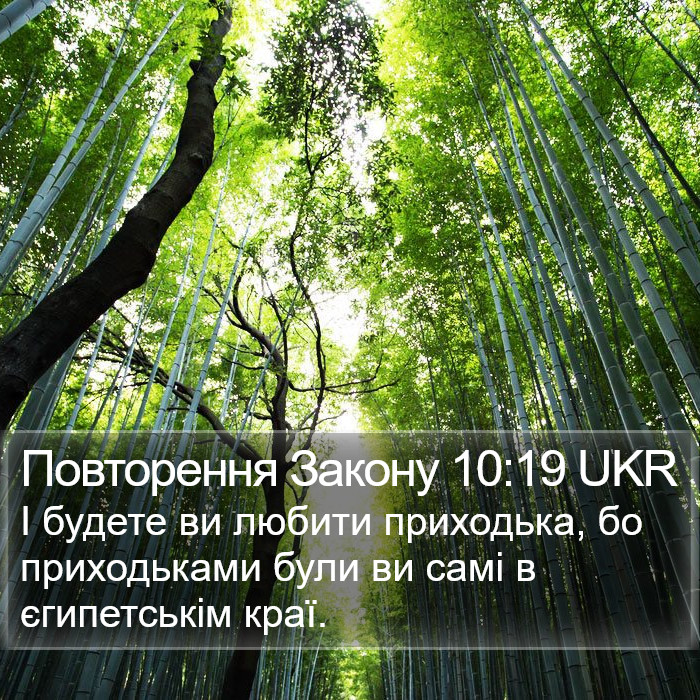 Повторення Закону 10:19 UKR Bible Study