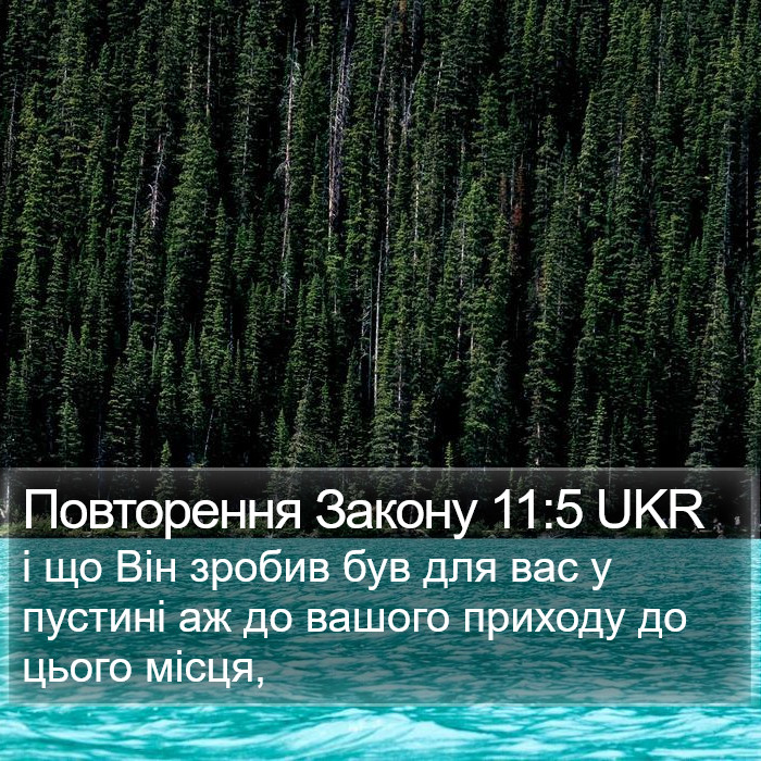 Повторення Закону 11:5 UKR Bible Study