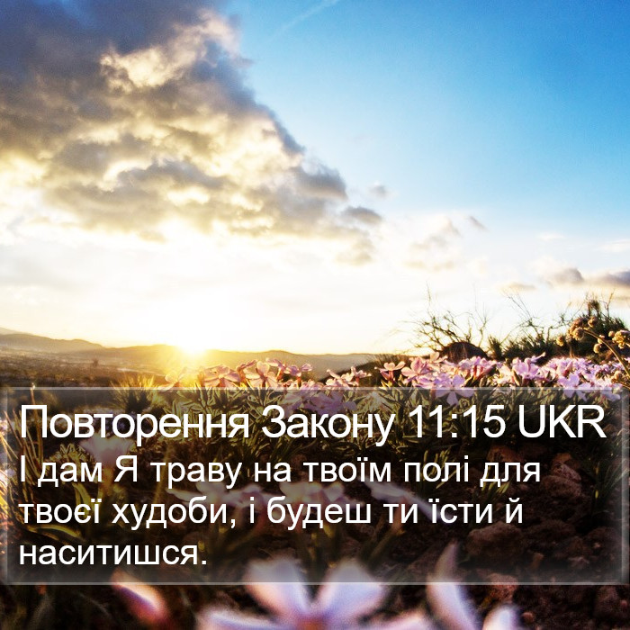 Повторення Закону 11:15 UKR Bible Study