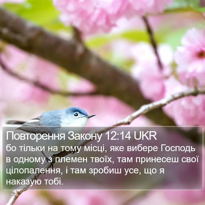 Повторення Закону 12:14 UKR Bible Study