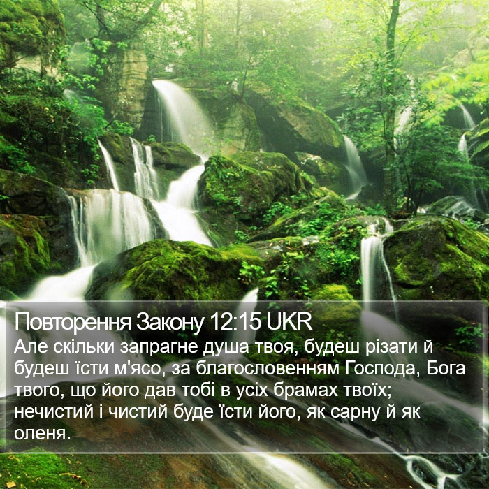 Повторення Закону 12:15 UKR Bible Study