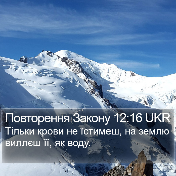 Повторення Закону 12:16 UKR Bible Study