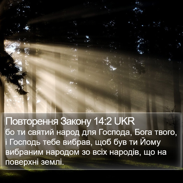 Повторення Закону 14:2 UKR Bible Study