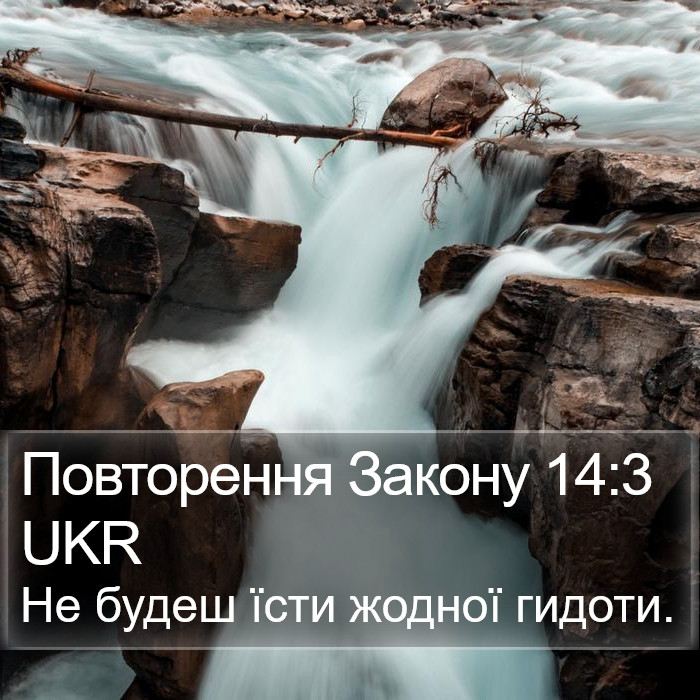 Повторення Закону 14:3 UKR Bible Study