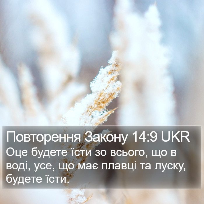 Повторення Закону 14:9 UKR Bible Study