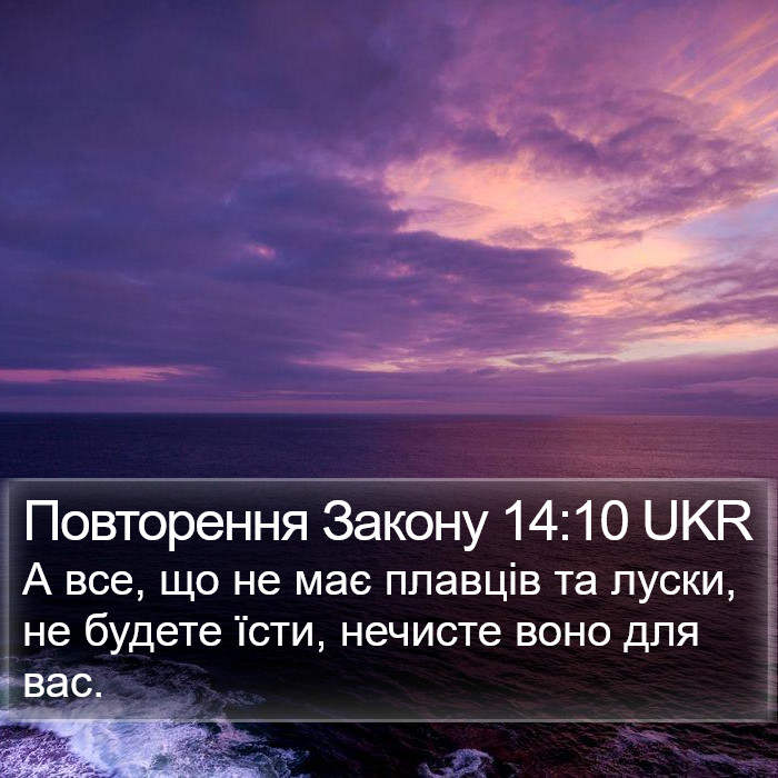 Повторення Закону 14:10 UKR Bible Study