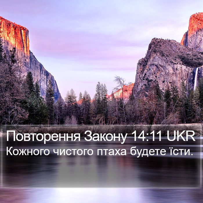 Повторення Закону 14:11 UKR Bible Study