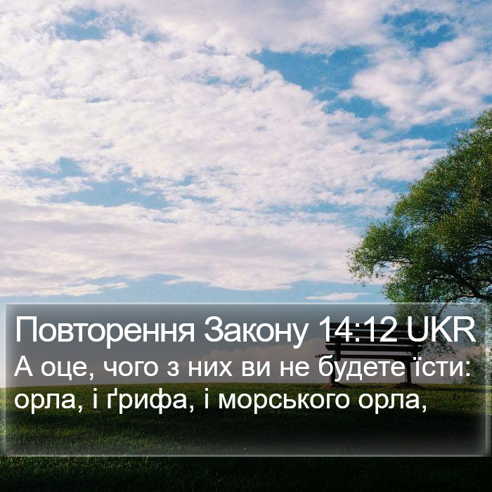 Повторення Закону 14:12 UKR Bible Study