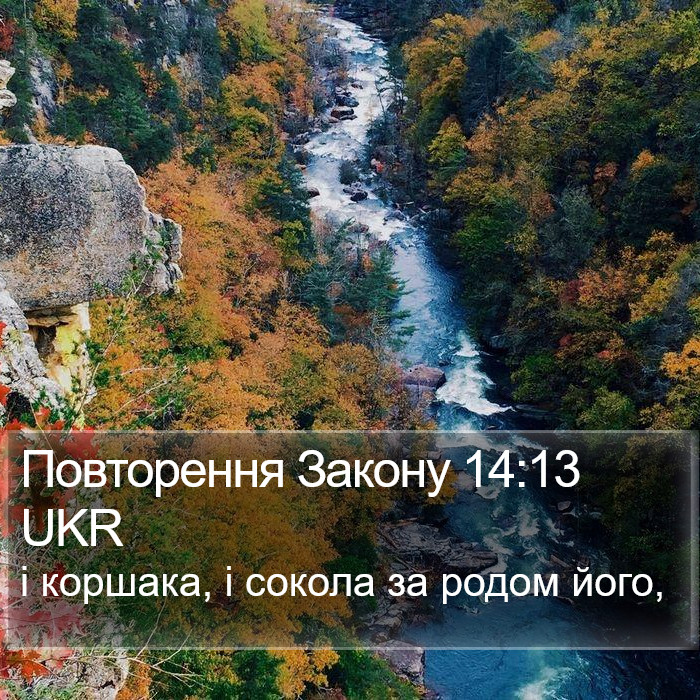 Повторення Закону 14:13 UKR Bible Study