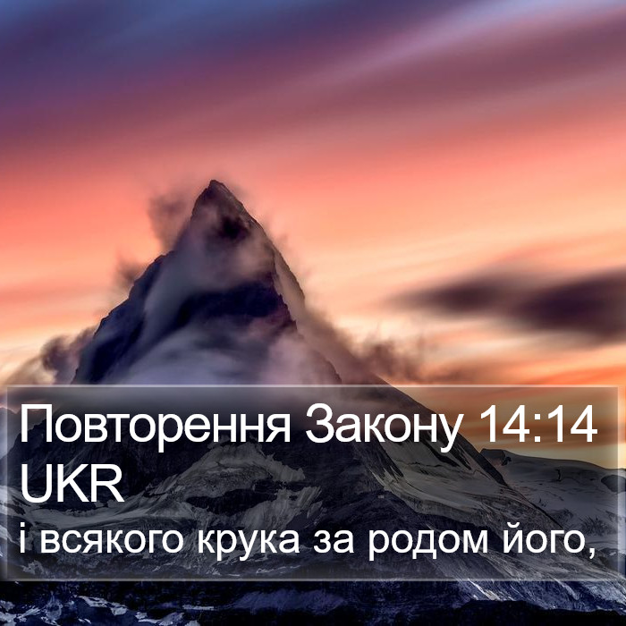 Повторення Закону 14:14 UKR Bible Study