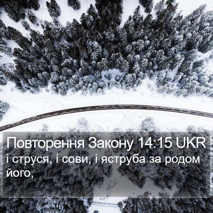 Повторення Закону 14:15 UKR Bible Study