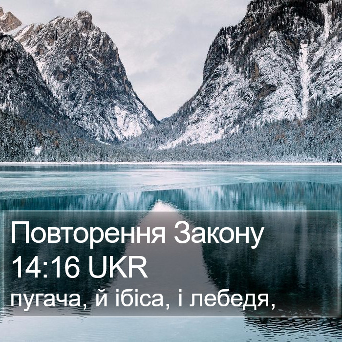 Повторення Закону 14:16 UKR Bible Study