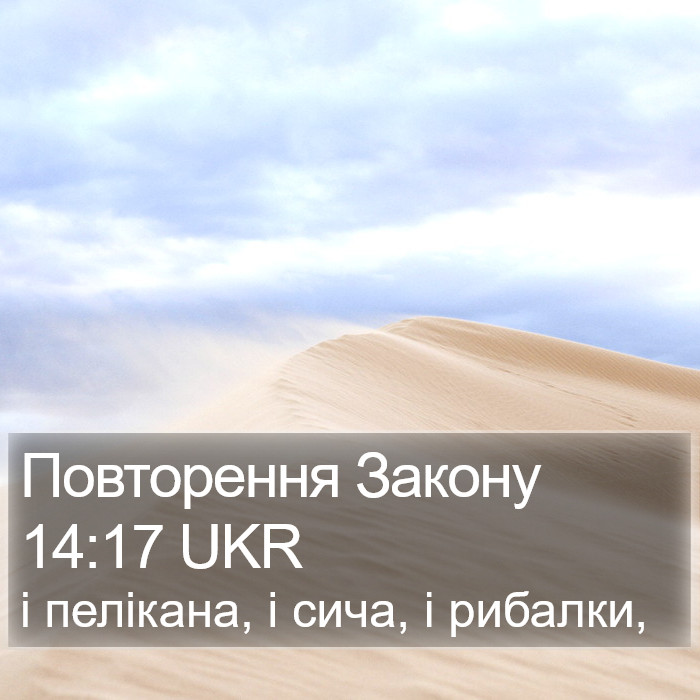 Повторення Закону 14:17 UKR Bible Study