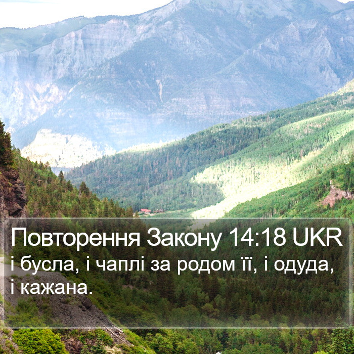 Повторення Закону 14:18 UKR Bible Study