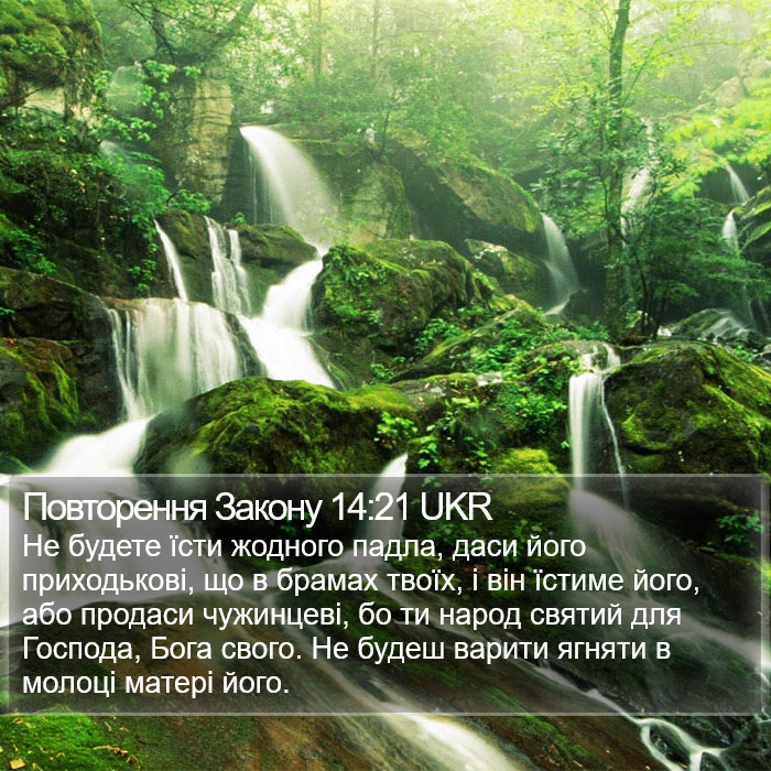 Повторення Закону 14:21 UKR Bible Study