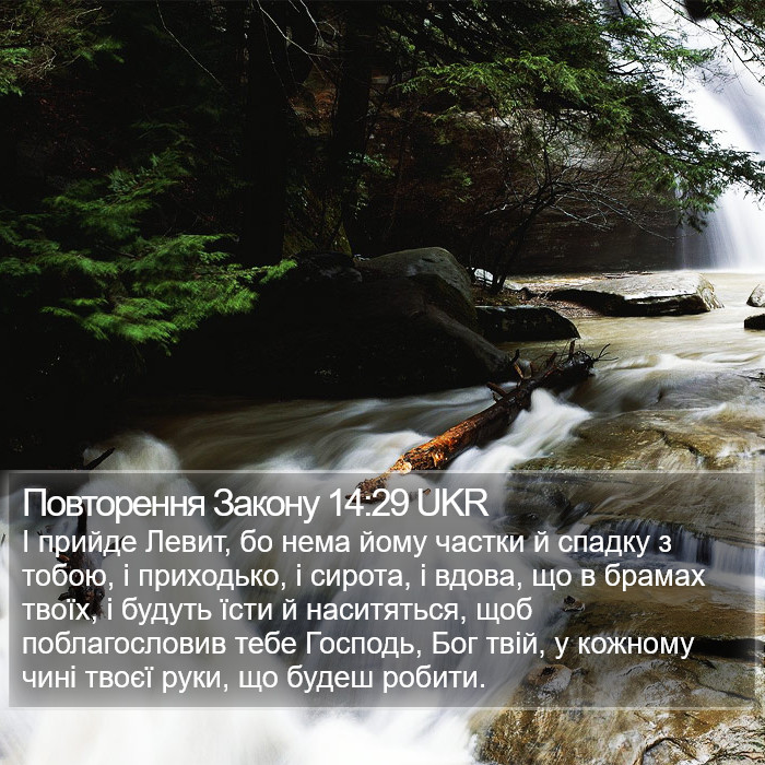 Повторення Закону 14:29 UKR Bible Study