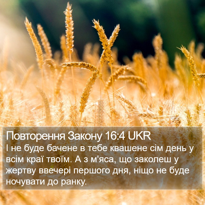 Повторення Закону 16:4 UKR Bible Study