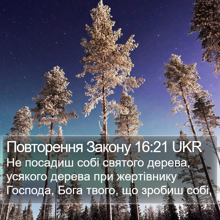 Повторення Закону 16:21 UKR Bible Study