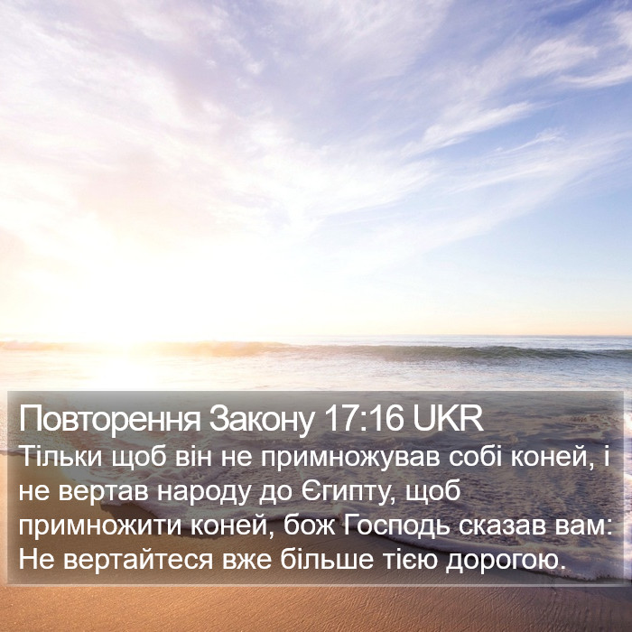 Повторення Закону 17:16 UKR Bible Study