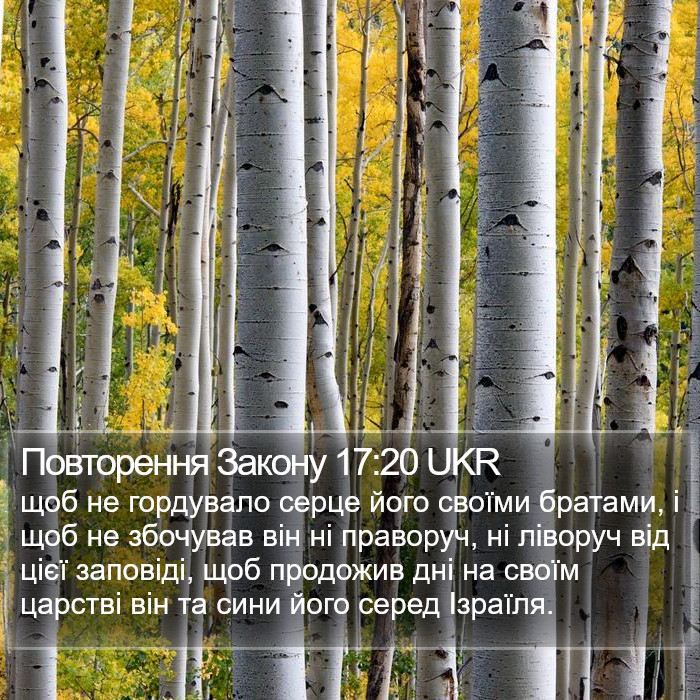 Повторення Закону 17:20 UKR Bible Study