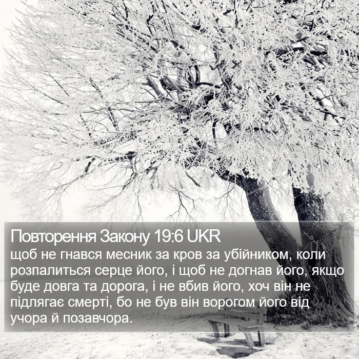 Повторення Закону 19:6 UKR Bible Study