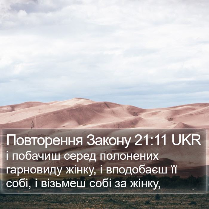 Повторення Закону 21:11 UKR Bible Study