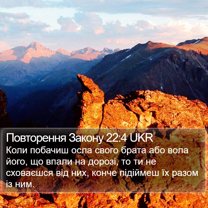 Повторення Закону 22:4 UKR Bible Study