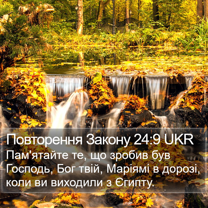Повторення Закону 24:9 UKR Bible Study