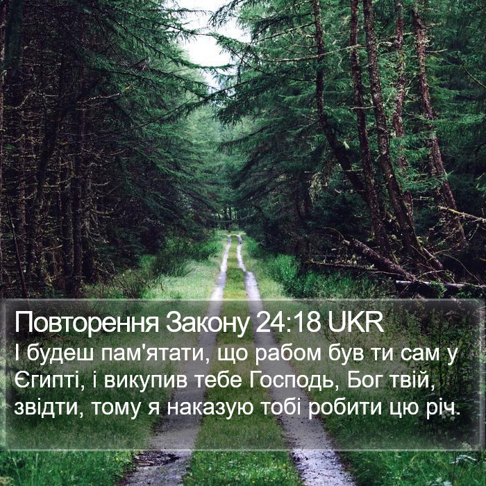 Повторення Закону 24:18 UKR Bible Study