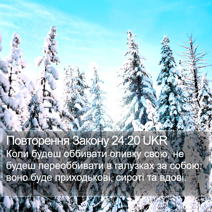 Повторення Закону 24:20 UKR Bible Study