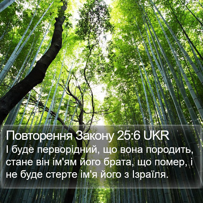 Повторення Закону 25:6 UKR Bible Study