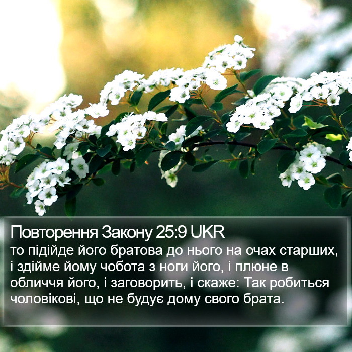 Повторення Закону 25:9 UKR Bible Study