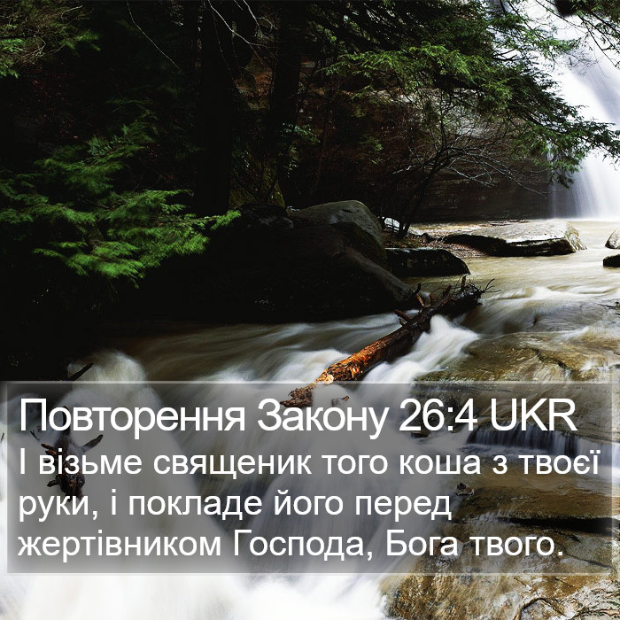 Повторення Закону 26:4 UKR Bible Study