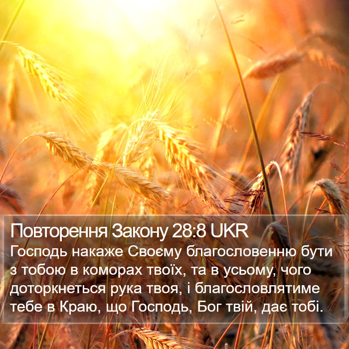 Повторення Закону 28:8 UKR Bible Study