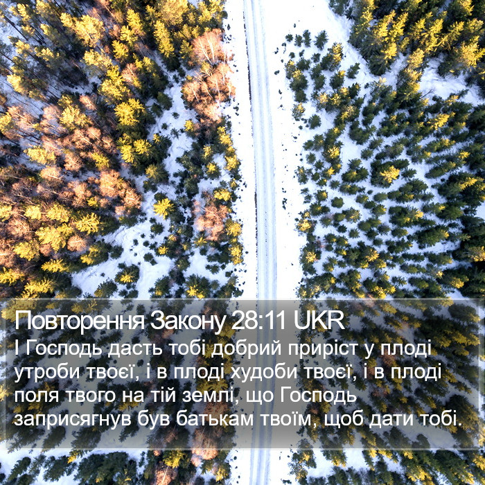 Повторення Закону 28:11 UKR Bible Study