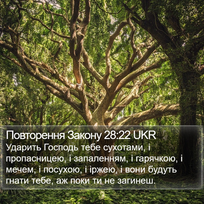 Повторення Закону 28:22 UKR Bible Study