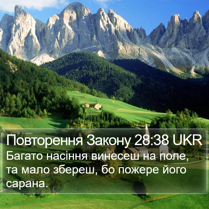 Повторення Закону 28:38 UKR Bible Study
