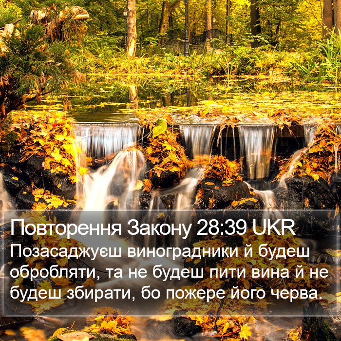 Повторення Закону 28:39 UKR Bible Study