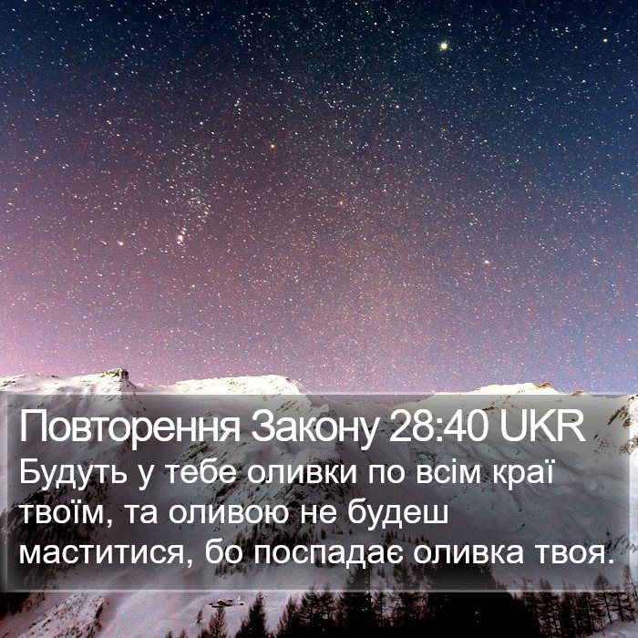 Повторення Закону 28:40 UKR Bible Study