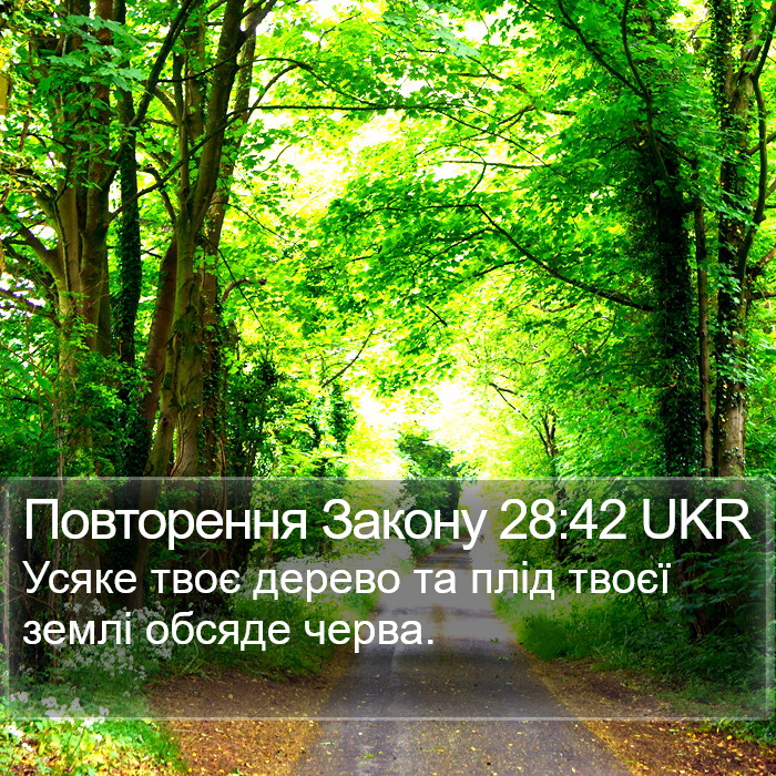 Повторення Закону 28:42 UKR Bible Study