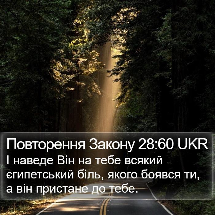 Повторення Закону 28:60 UKR Bible Study