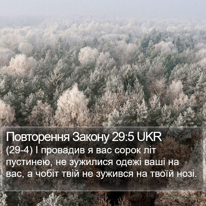 Повторення Закону 29:5 UKR Bible Study