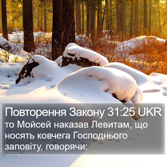 Повторення Закону 31:25 UKR Bible Study