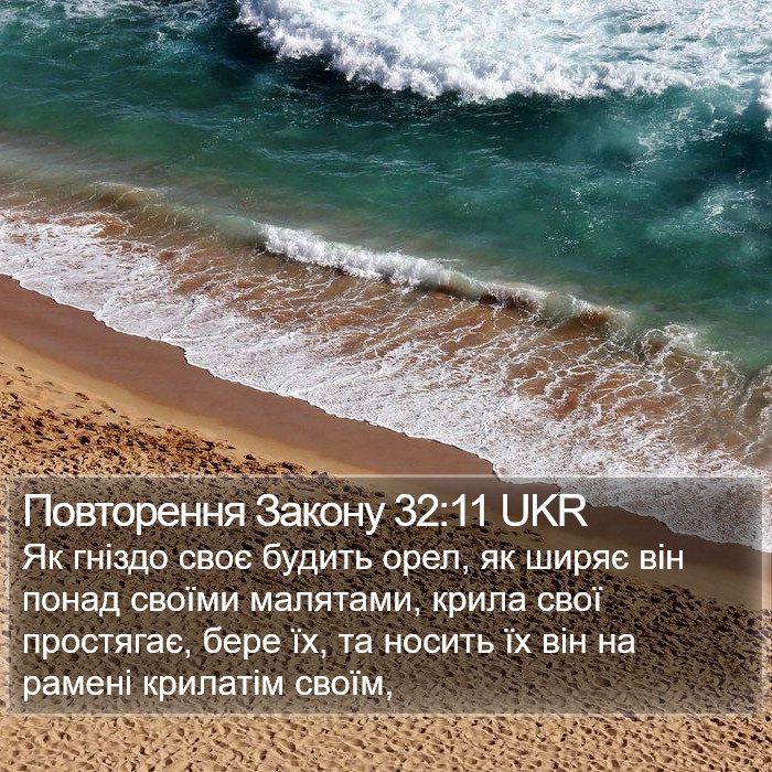 Повторення Закону 32:11 UKR Bible Study