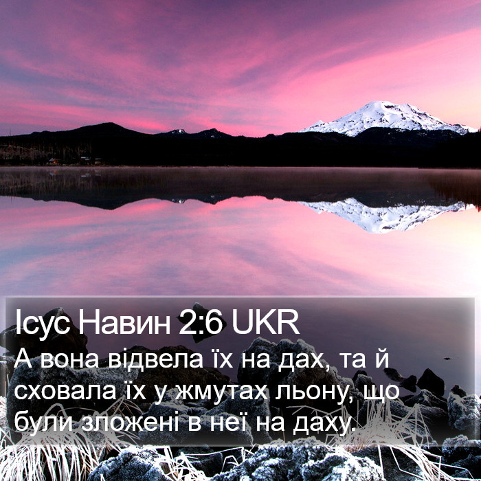 Ісус Навин 2:6 UKR Bible Study