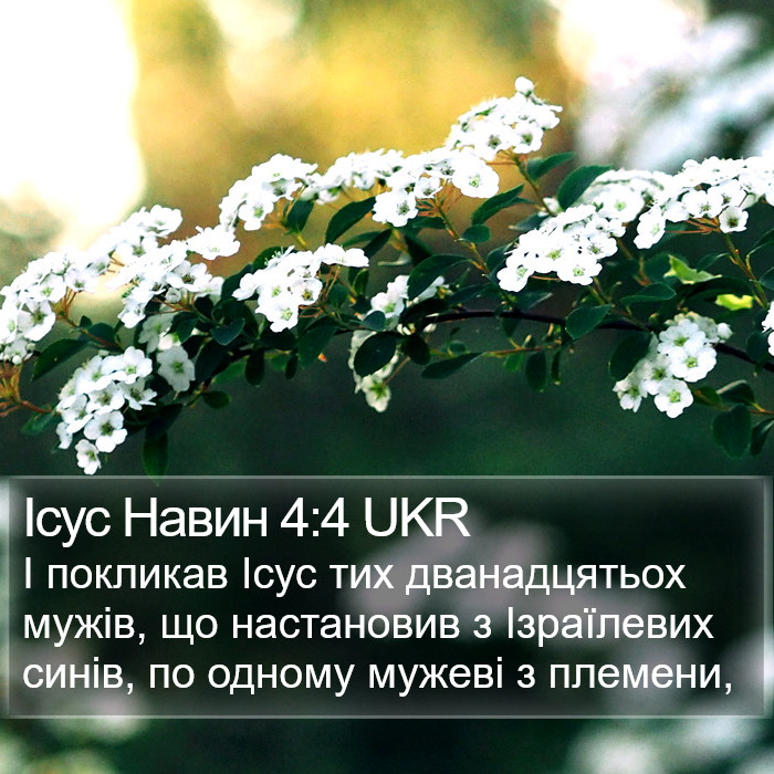 Ісус Навин 4:4 UKR Bible Study