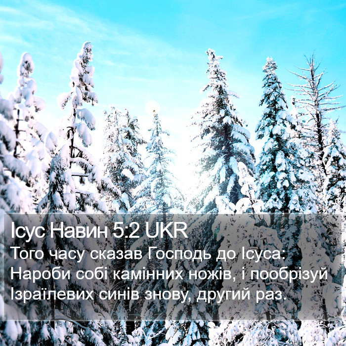 Ісус Навин 5:2 UKR Bible Study