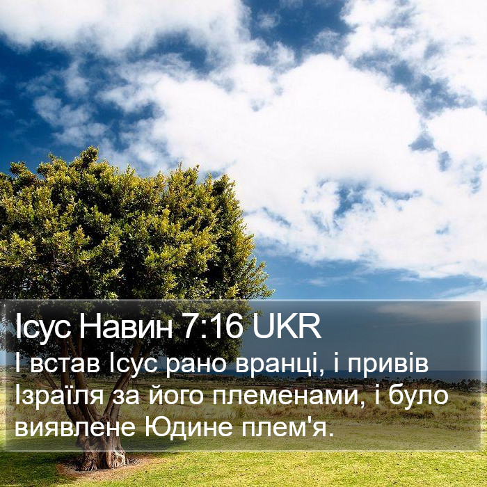 Ісус Навин 7:16 UKR Bible Study